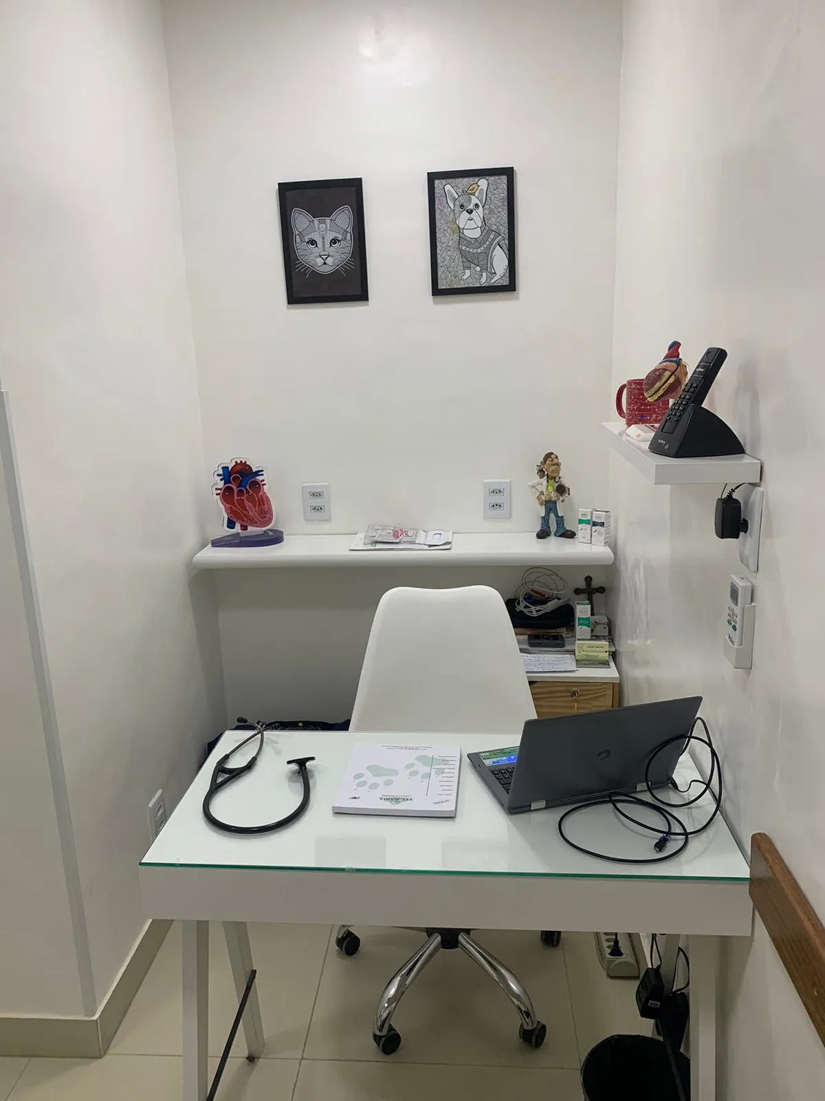Consultório da Vet-Mania, com modelo de coração na prateleira